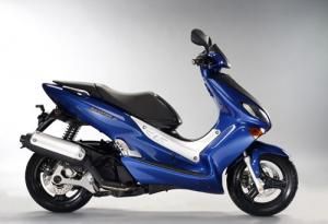 YAMAHAXQ125 MAXSTER (01-09)