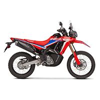 HONDACRF300 RALLY (21-22)